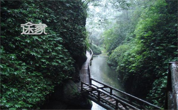 都江堰市青城山镇党委书记,都江堰市青城山镇历任党委书记