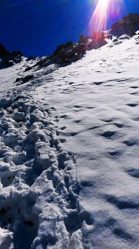 带上UL从狼塔C回家