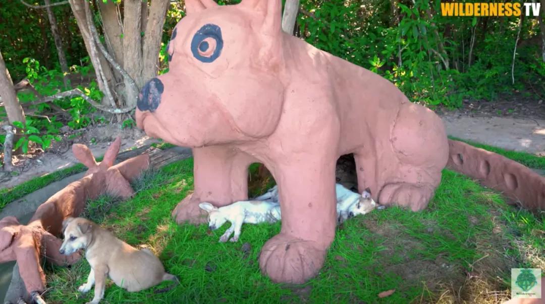 花三年建宠物乐园,花20万给狗打造乐园