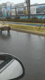 搞笑gif一看就是聪明人,搞笑gif趣图果然是亲生的笑死我了