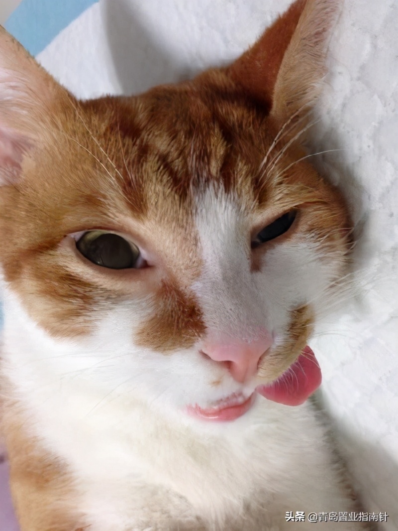 青岛积米崖怎么去,积米崖的路什么时候修好