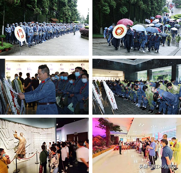 中信红木最新排名,中信红木官网