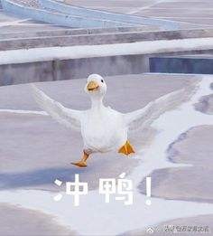 如何让自己暑假过得充实,如何用一个月时间做到暑假逆袭