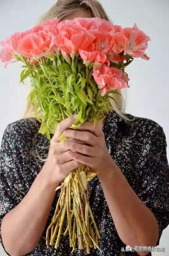 10种在花镜设计中常用的紫色花卉,南方适合做花境的花卉种类