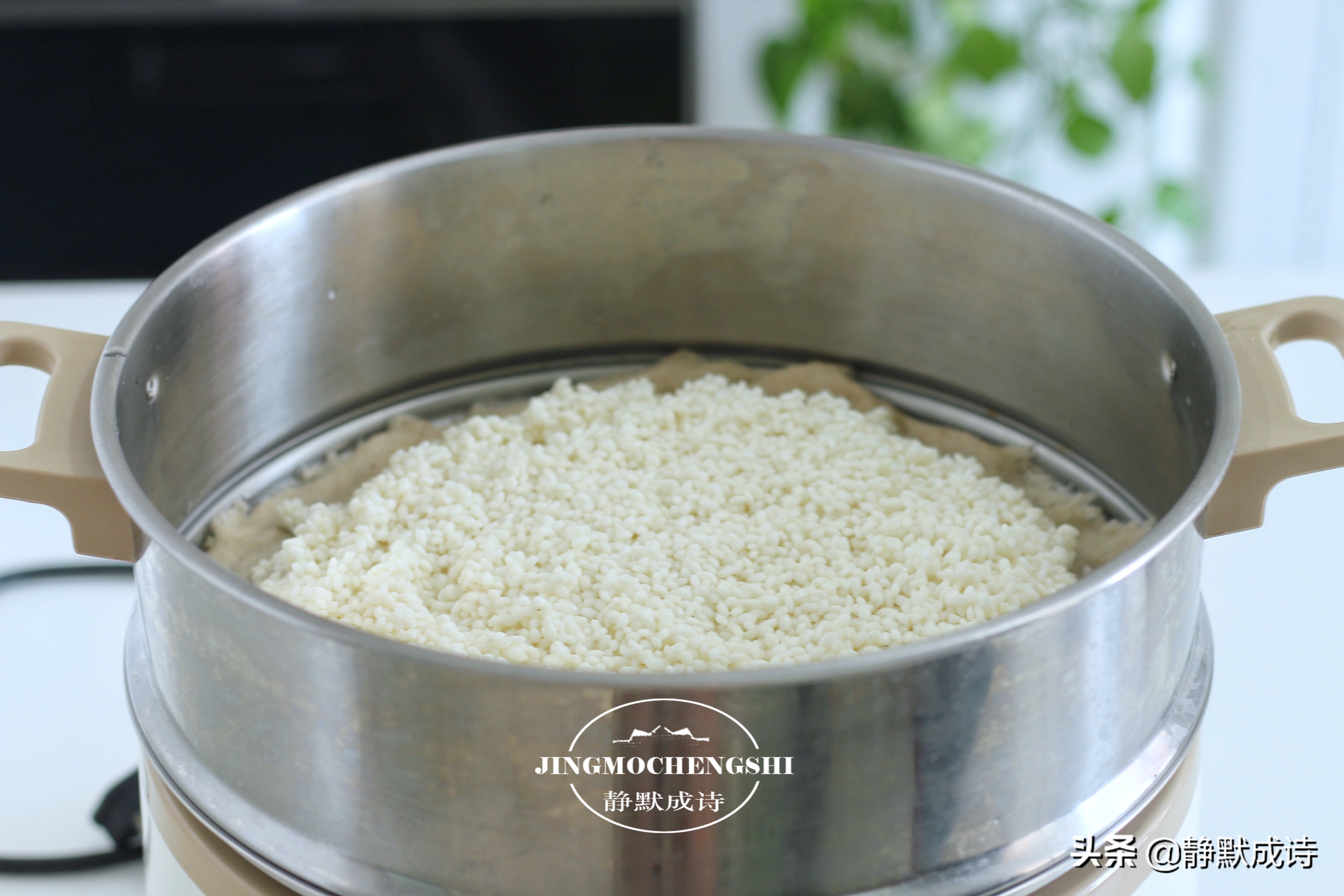 自制酒酿的正确方法,自制酒酿长白毛还有补救方法吗