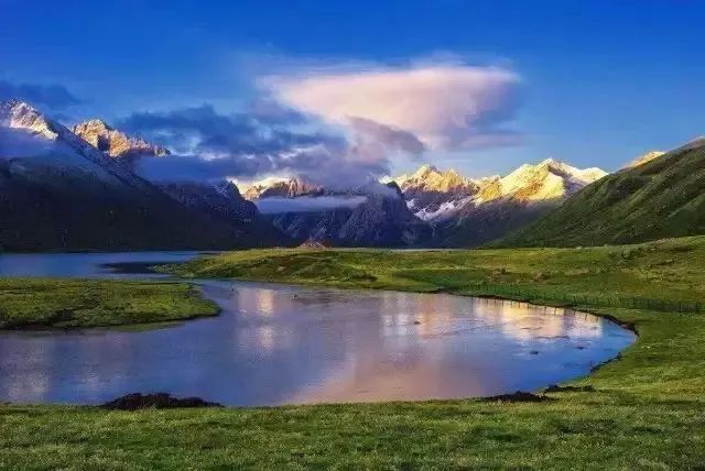 它们冷门，可却是如此幽静美丽