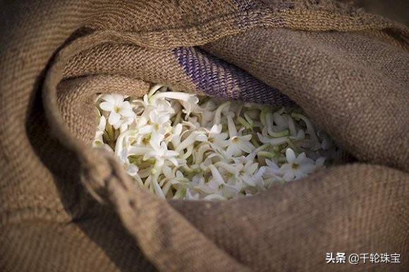 香奈儿香水5号no20,chanel香奈儿邂逅绿香水真假