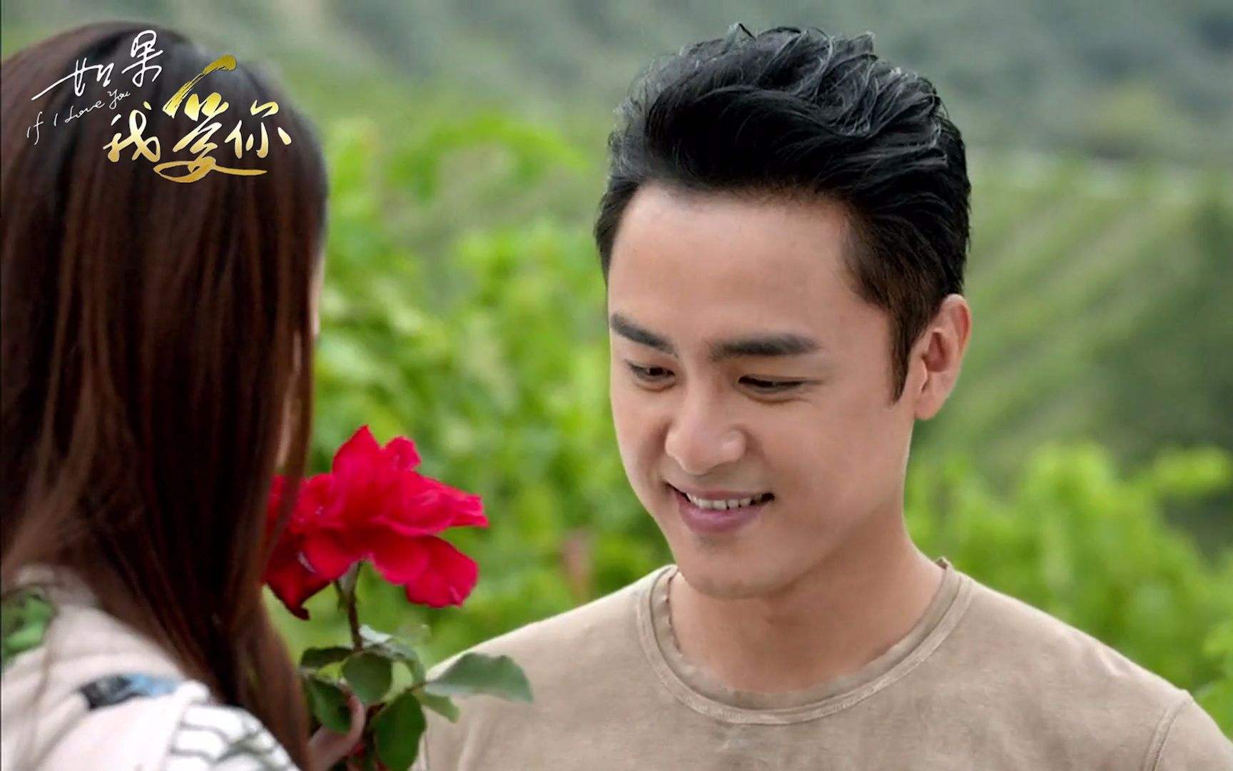 你送给情人的玫瑰其实是八味药,爱她别忘告诉她