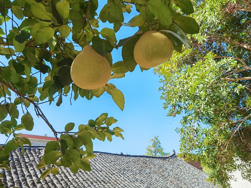秋天的回忆完整版,秋天的回忆歌曲