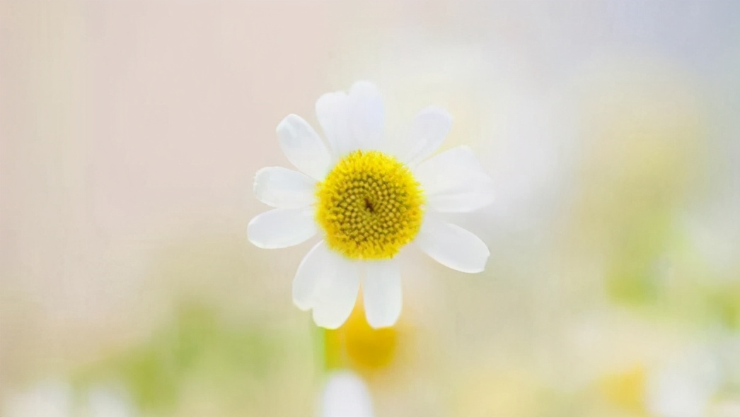 一句话励志评语简短精辟,50句最著名的励志评语