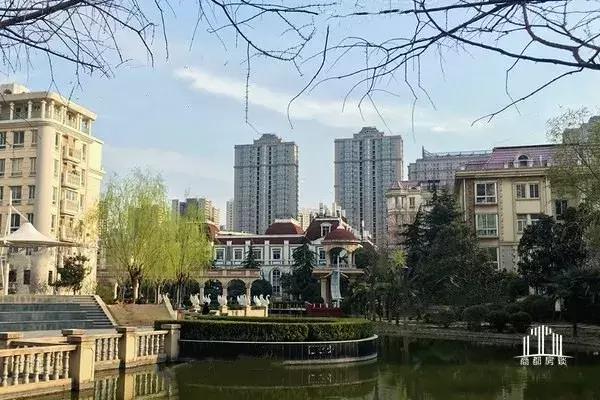 郑州哪个区小学教育最好,郑州各区教育资源大比拼郑东新区