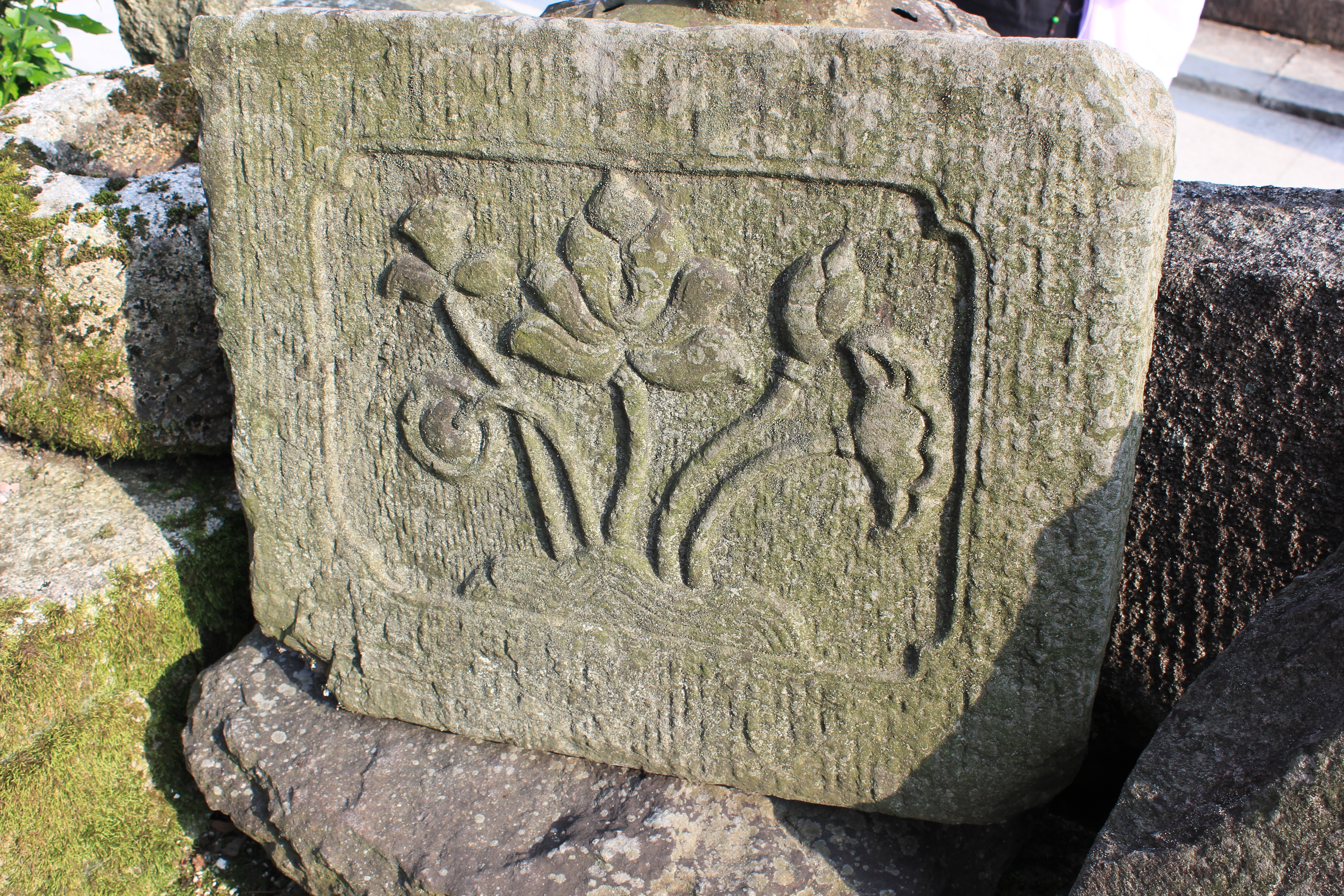 武汉周边避暑胜地｜端午武汉至咸宁九宫山2日自驾亲子游路线分享