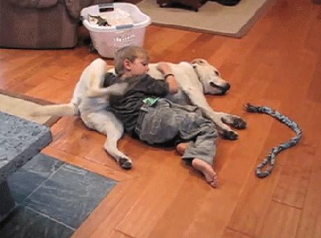 能治好所有病的宠物医生,宠物医生治不好自己的宠物