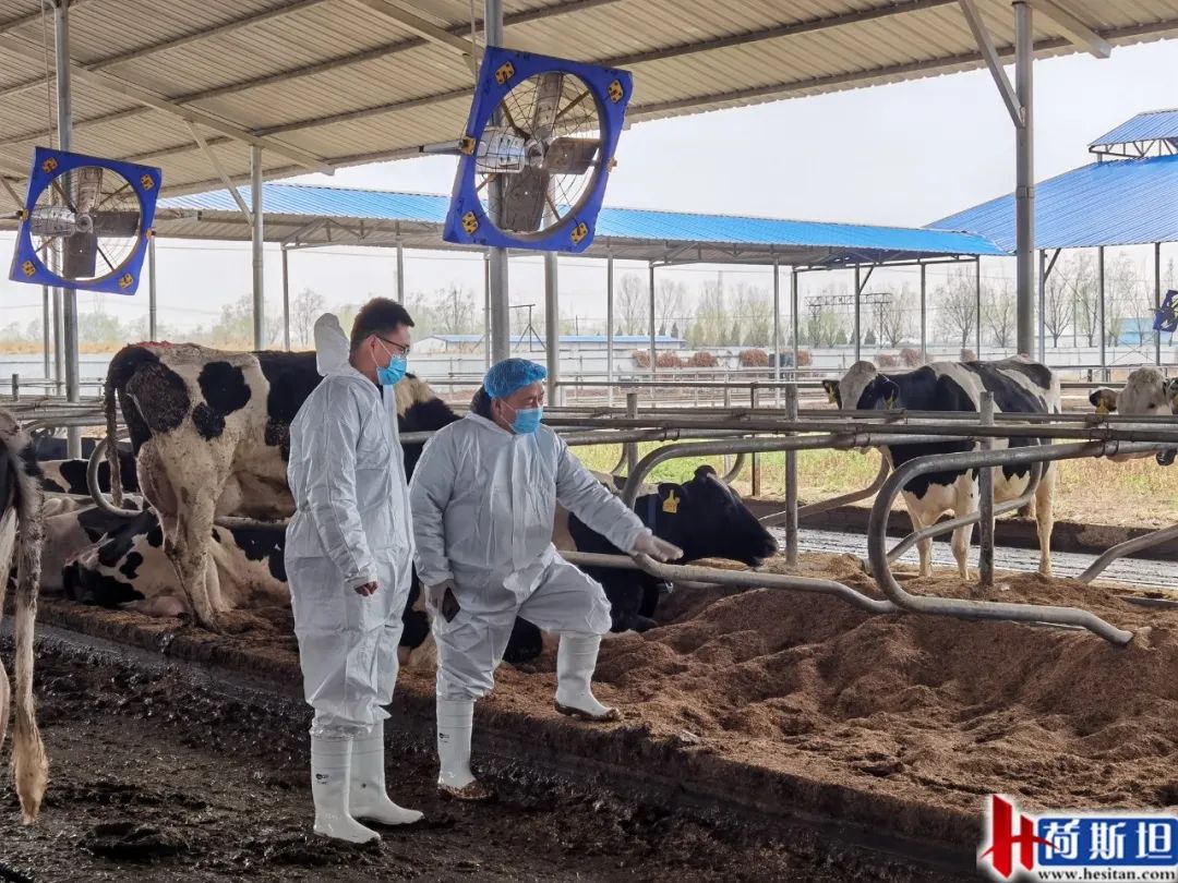 走进乐源君邦和邢台君兴丨中瑞项目她来了