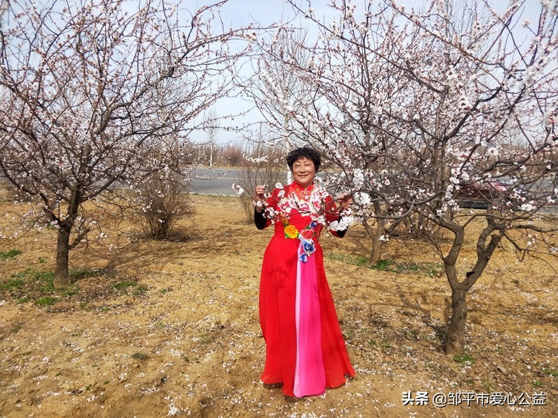 邹平黛溪张高杏花节直播,张高杏花节开幕式完整版