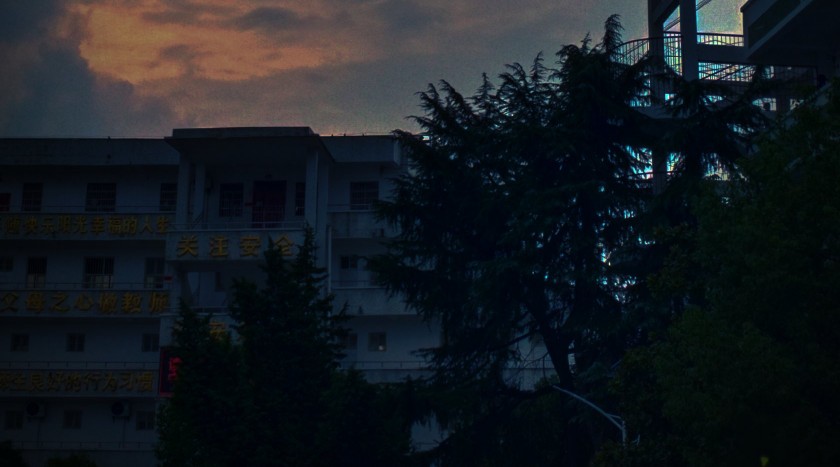 剁手党请注意网购骗局需警惕,剁手避坑