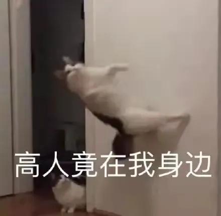 医院治疗黄疸是不是治疗费用特黑,医院治疗黄疸有陷阱吗