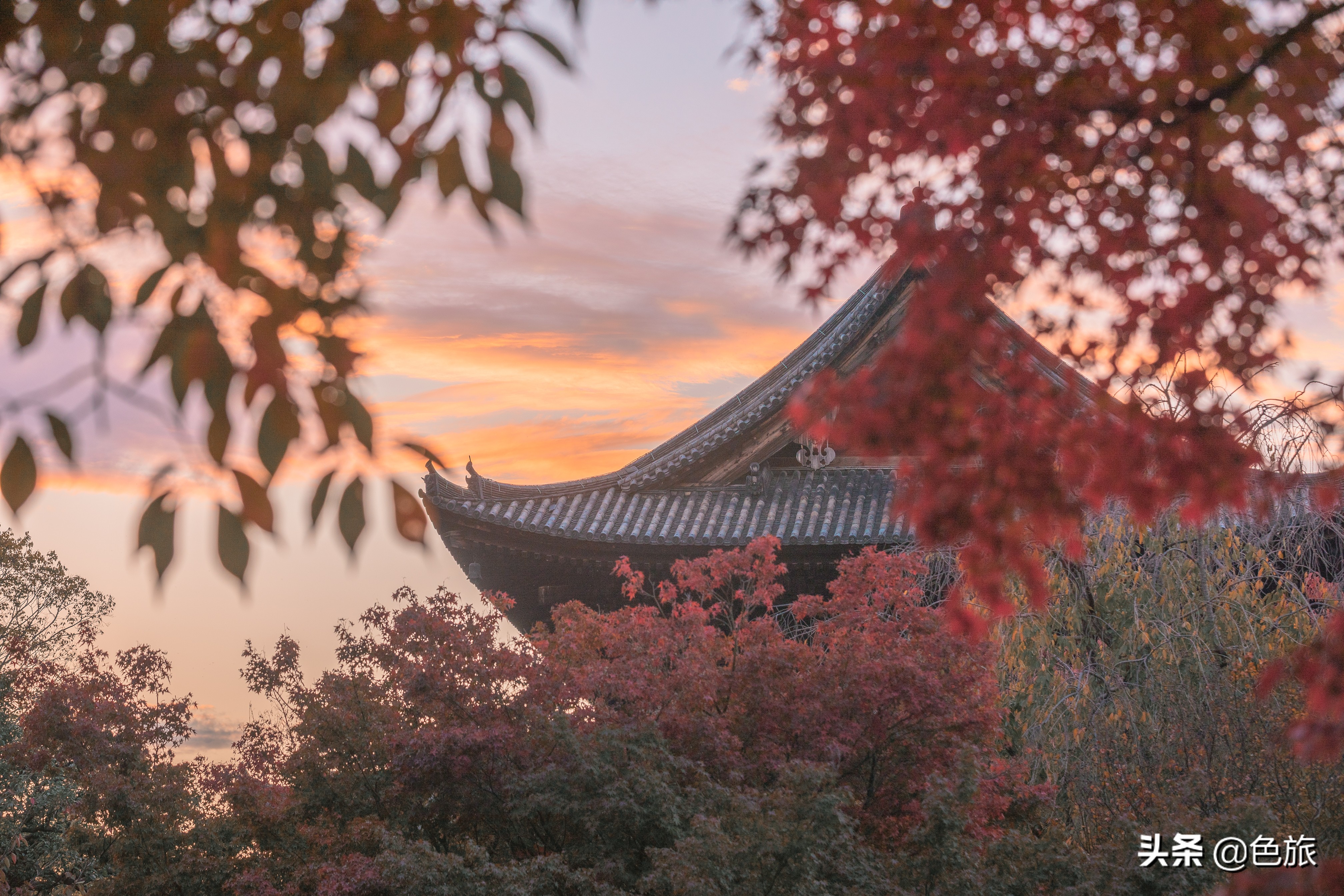 妖猫传日本访唐,妖猫传日本大师