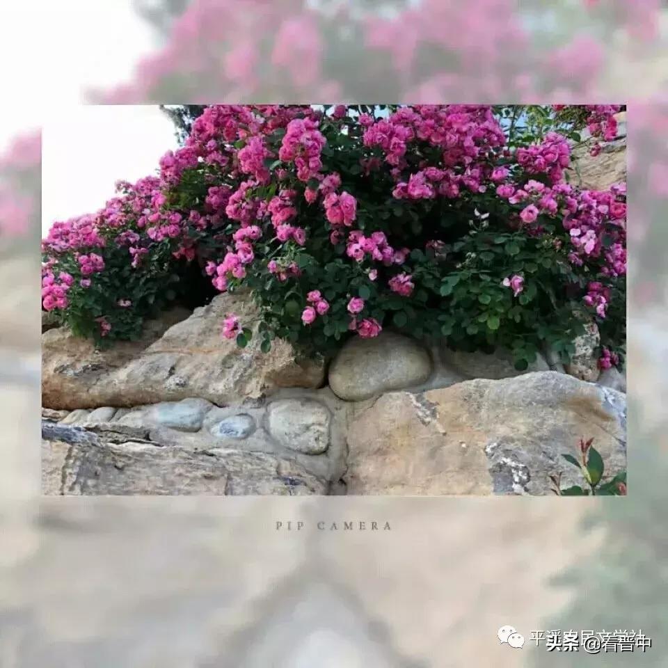 晋中婚宴,晋中旅行图文日记