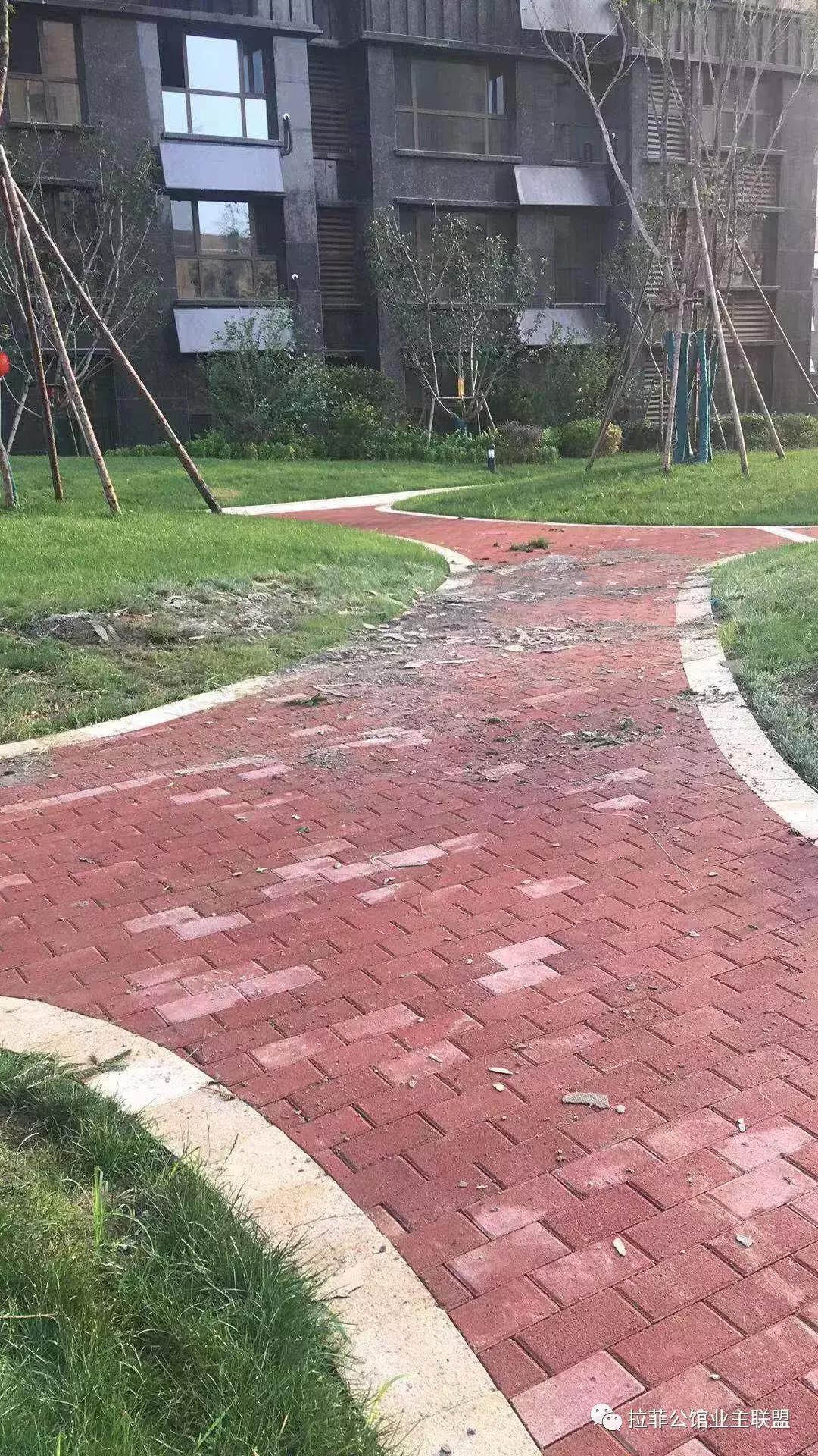 拉菲公馆事件真相,拉菲公馆事件视频