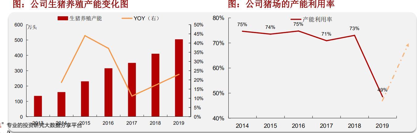 中粮肉食价值分析:性价比最高的猪肉股是他吗