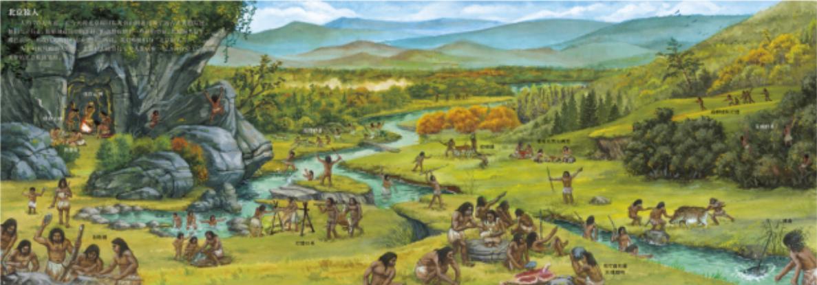 拿破仑读完历史,拿破仑与哲学