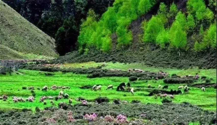 去兰坪旅游值得逛的地方,去了一次就喜欢的城市