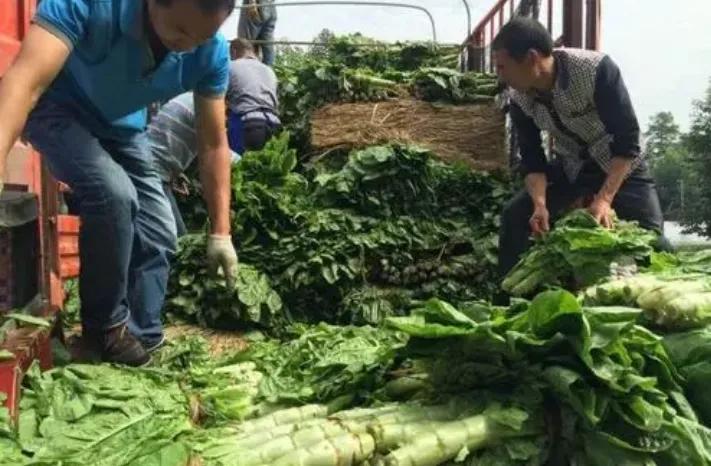 什么小生意一年能赚50万,一年赚50万的小生意真实案例