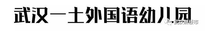 汉街幼儿园是武汉最贵的吗,武汉最贵的幼儿园多少钱啊