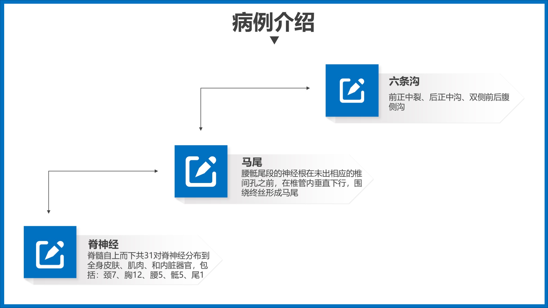 鑴戞尗浼ゆ姢鐞嗘煡鎴縫pt涓嬭浇,鎶ょ悊鐥呬緥鍒嗘瀽瀹屾暣妯℃澘ppt