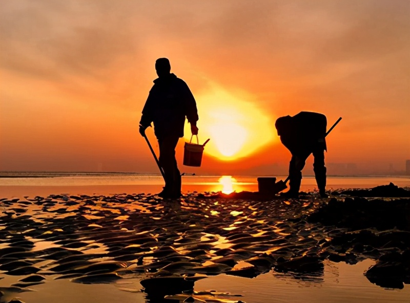 辽宁营口鲅鱼圈疫情最新消息今天,辽宁省营口鲅鱼圈最新疫情报告
