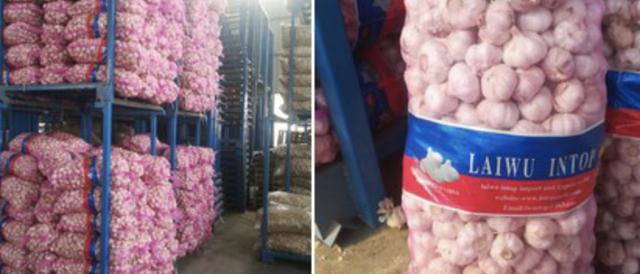 2020蒜苔行情预计大蒜多少钱一斤,2020年4月28日山东大蒜蒜薹价格