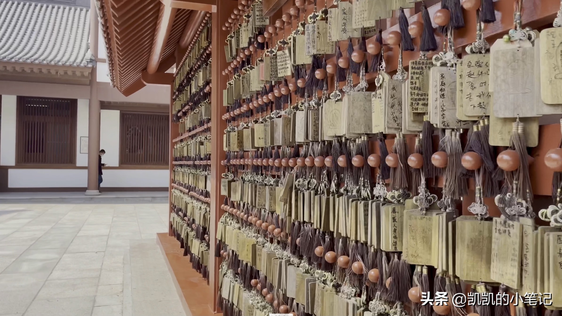 横山寺樱花园门票,横山寺和龙王塘樱花园