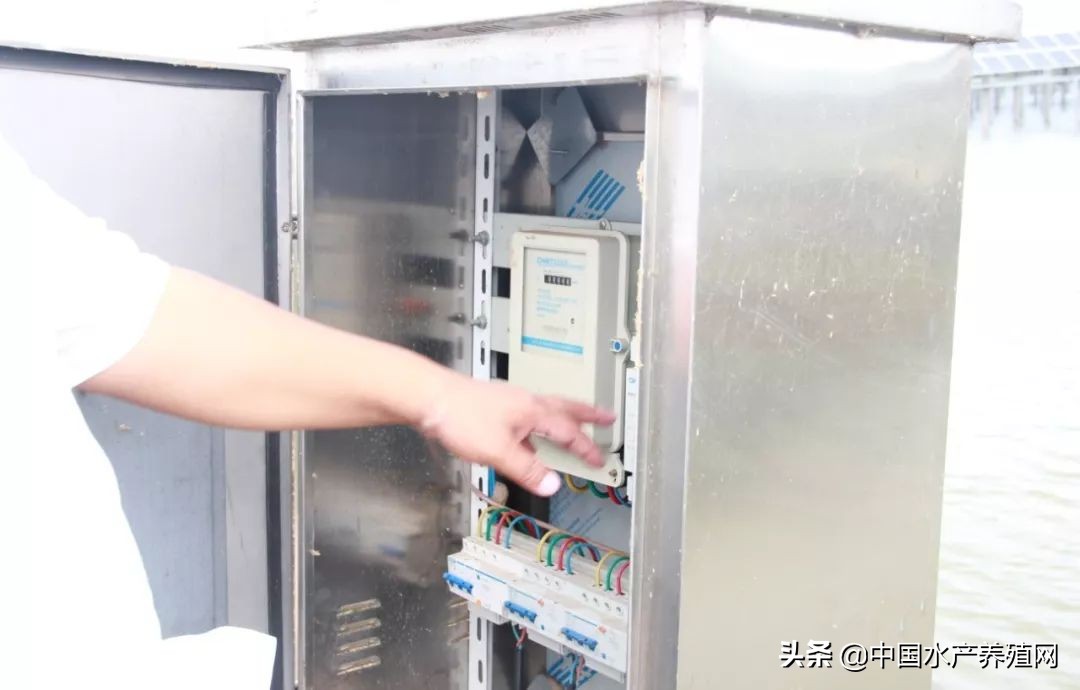 年销售额达5000多万，一手打造多个“百万富翁”，这位上过《致富经》的传奇蟹匠，又把这块土地变废为宝