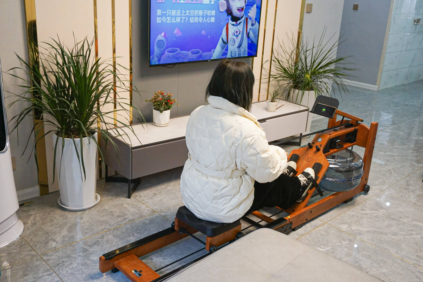 罗永浩划船机,罗永浩划船机推荐