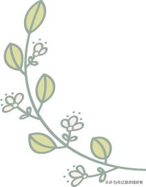 西安市西电中学是什么档次的学校,西安市新优质学校成长计划