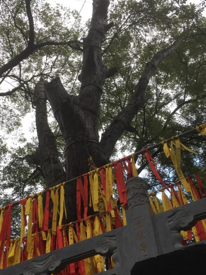 你右脚小拇指指甲盖是爽的吗?