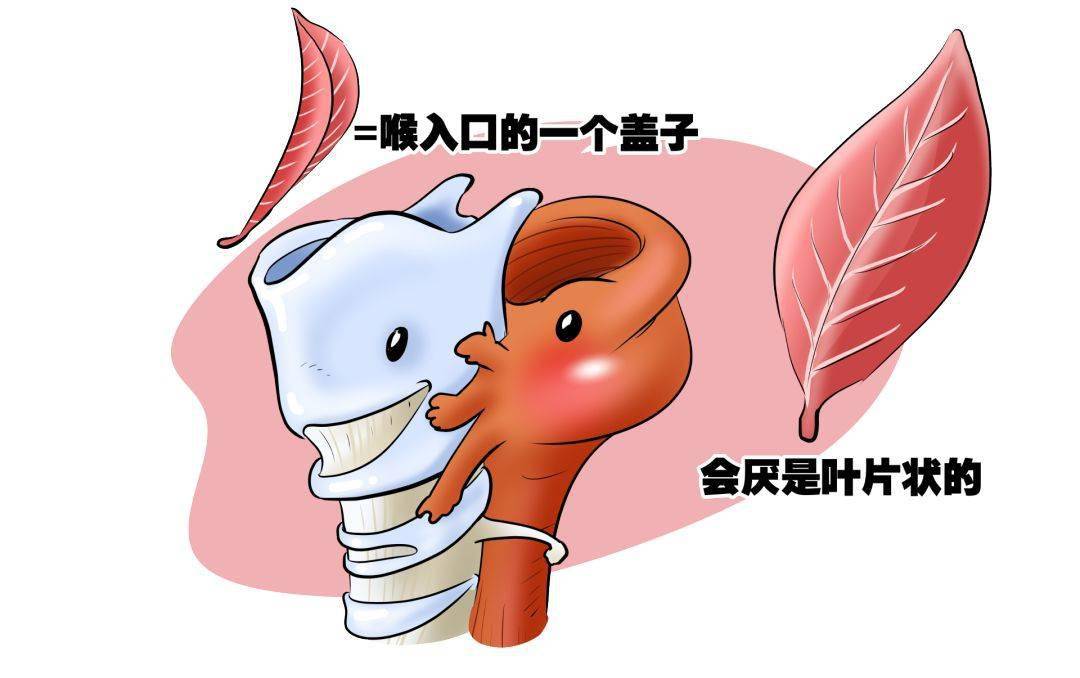 急性会厌炎死亡率,急性会厌炎吃什么药