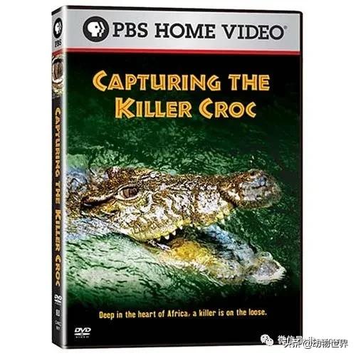 出游在外小心不要被动物吃掉哦