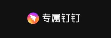 钉钉logo代表的含义,钉钉新logo标志分析