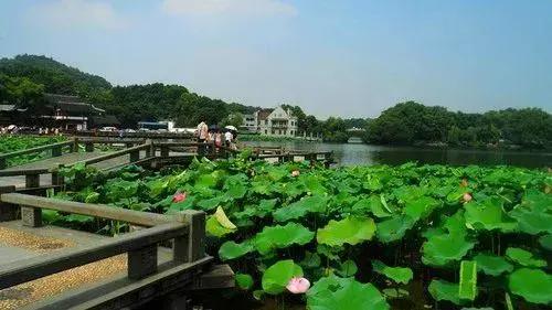 杭州攻略7大必去景点,杭州旅游攻略建议去和不建议去