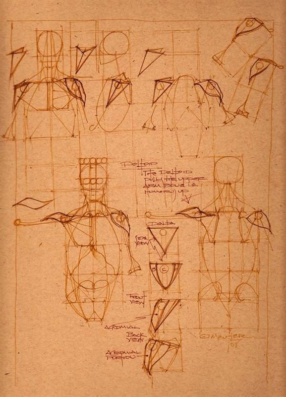 透视表现空间的基本方法,透视解剖学原理书籍