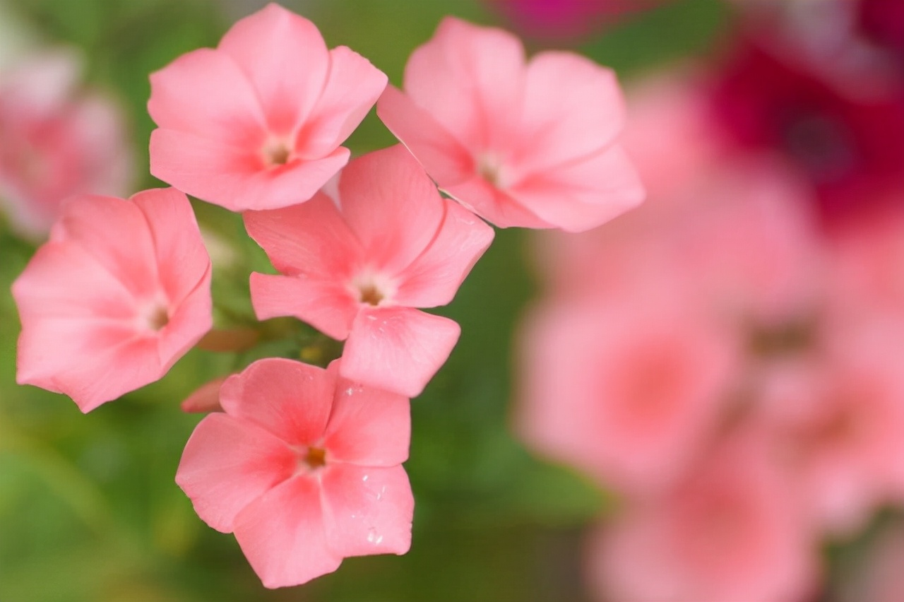 很想念一个人怎么给他发微信,如何给想念的人发微信