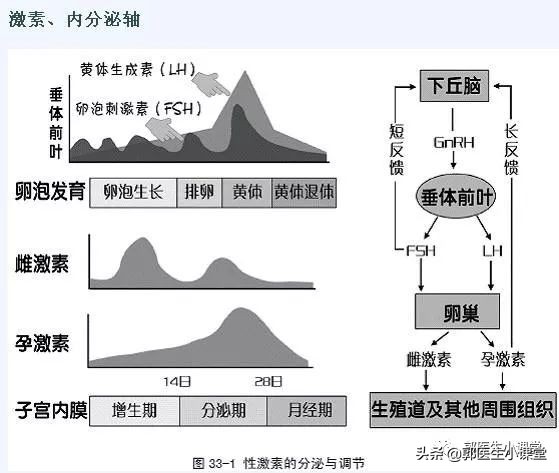 喝凉水吃雪糕对身体的害处,喝凉水吹空调会引起姨妈推迟吗