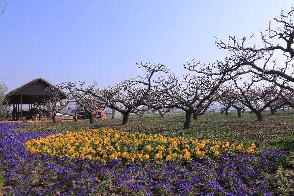 五一假期天津周边可以去哪里,周末适合出去玩的地方天津