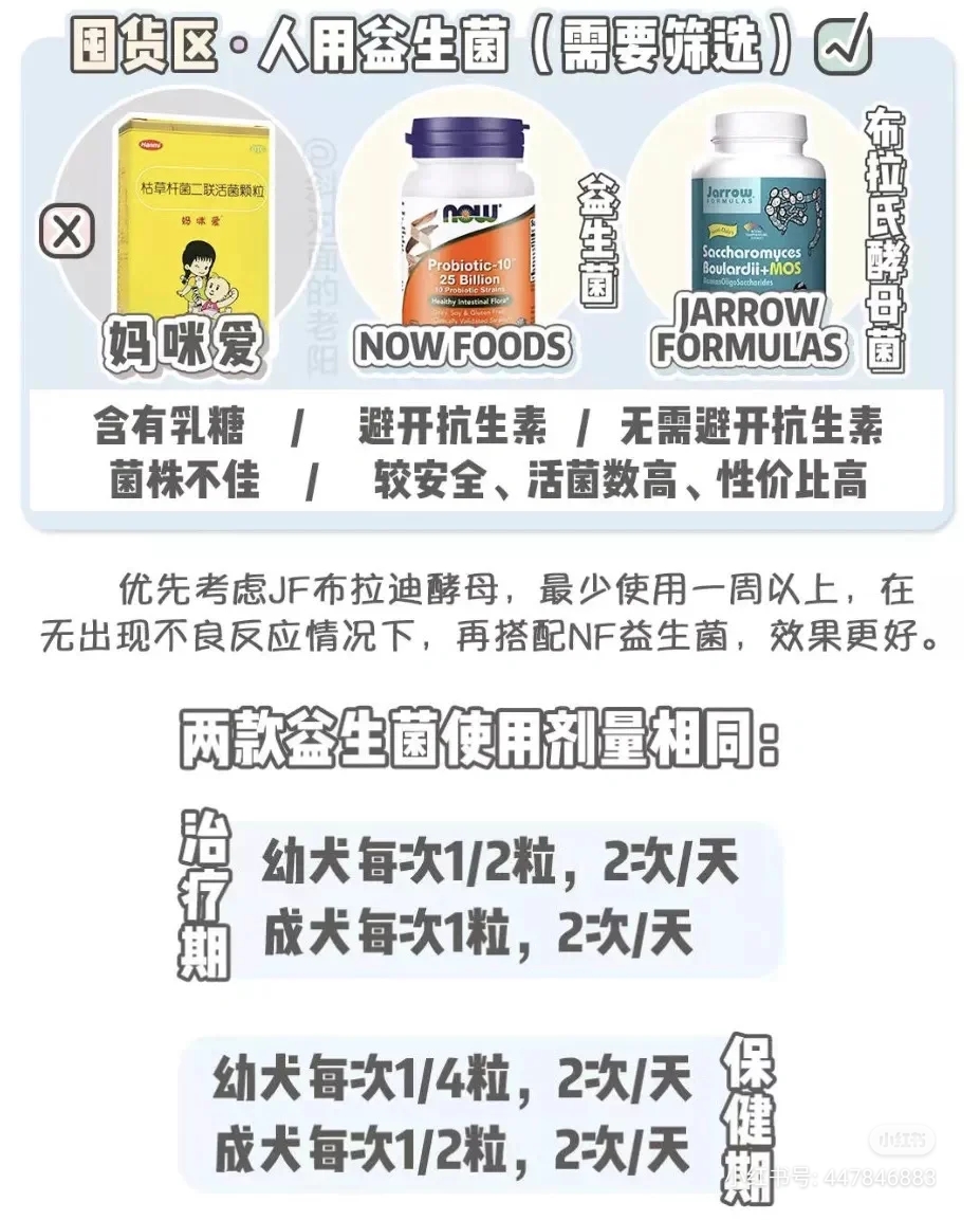 养狗怎么解决狗狗拉屎的问题,养狗呕吐怎么办