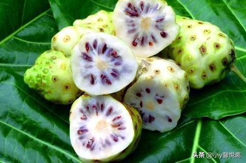 诺丽果三种人不能吃,诺丽果是什么味道