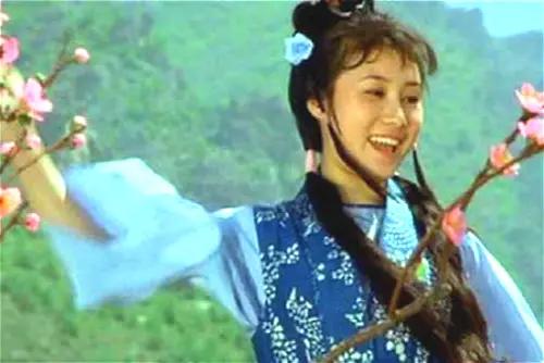 李连杰对少林寺的贡献,李连杰武侠电影少林寺