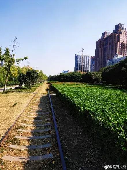 郑州春天骑行的好地方,郑州运动类游玩地