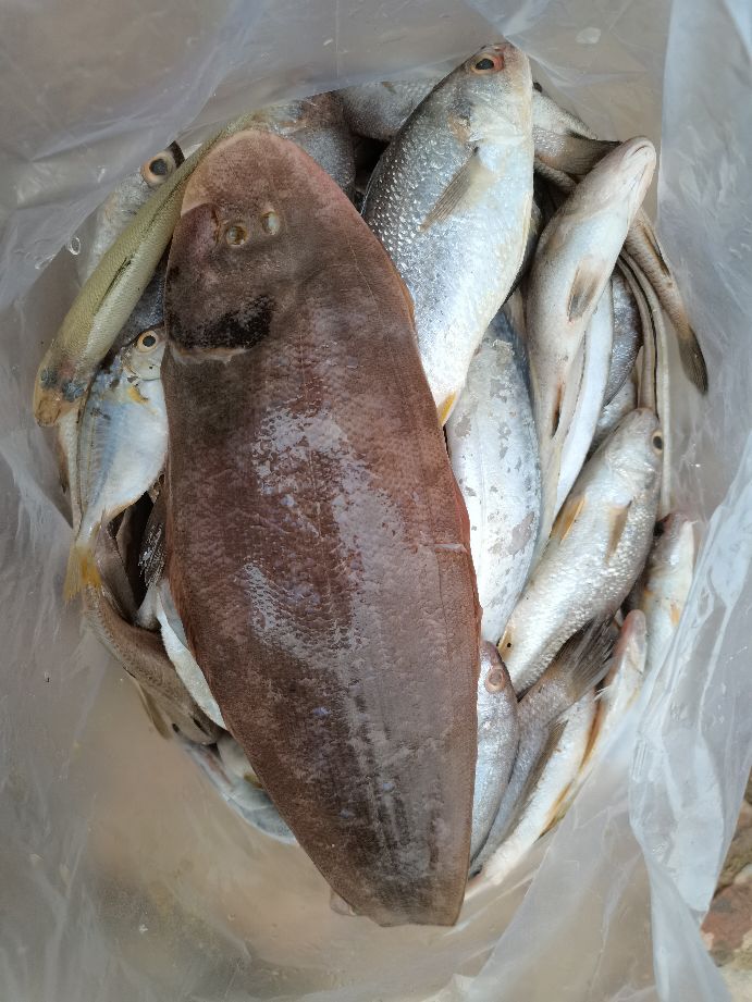 包网捕鱼到底要怎么样，答案在这里。